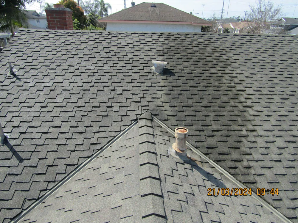 Composition roof surface from a cleaning project