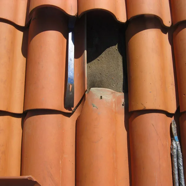 Exterior cleaning project photo showing roof cleaning 1 s.