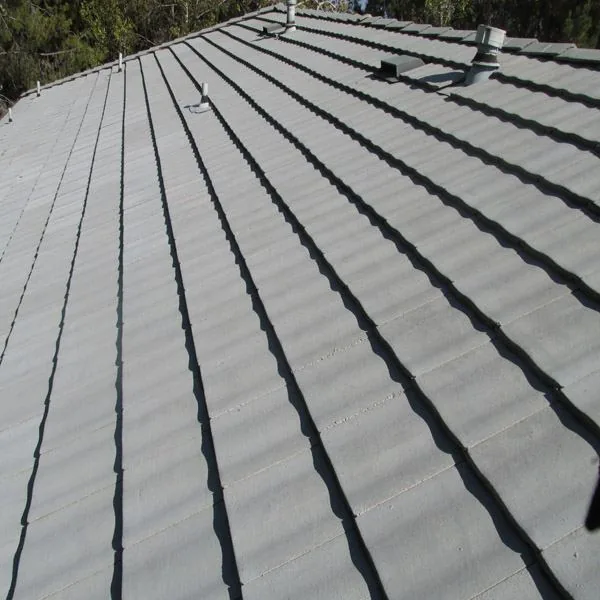 Slate tile roof after roof cleaning service