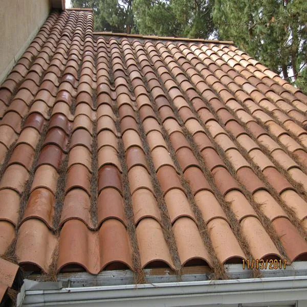 Roof debris cleaning before cleanup service