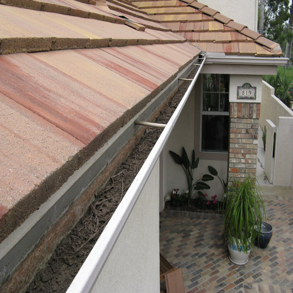 Roof Cleaning & Rain Gutter Cleaning